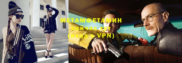 хмурый Аркадак