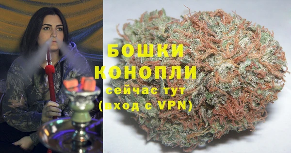 спайс Арсеньев
