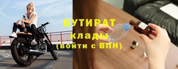 хмурый Аркадак