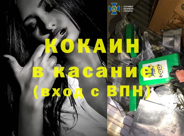 хмурый Аркадак