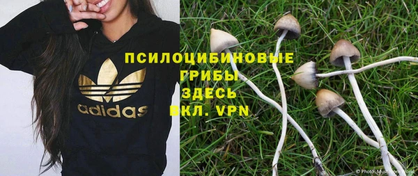 apvp Ладушкин