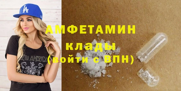 хмурый Аркадак