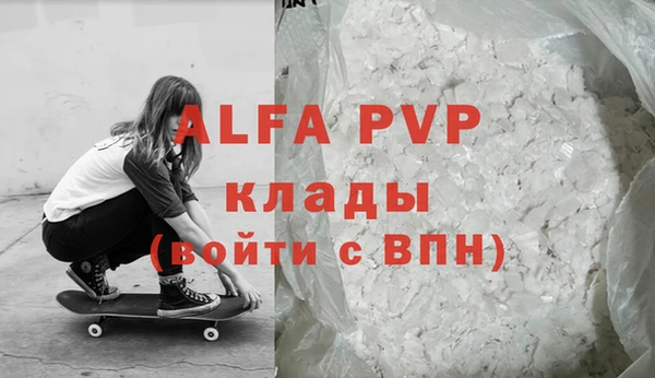 хмурый Аркадак