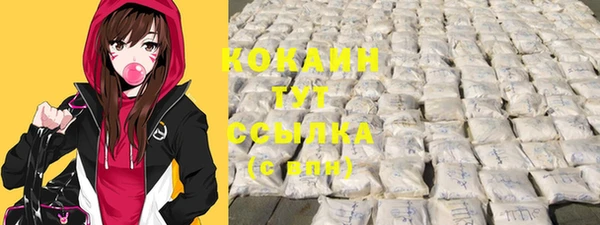 спайс Арсеньев