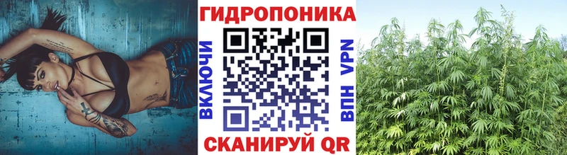 hydra как зайти  Темников  Конопля Ganja  где продают  